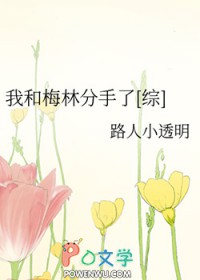 影子（1VN，男替身)
