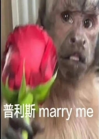 半妖神