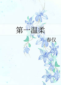 皇贵妃升职记