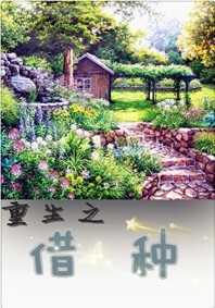 开局十平海岛