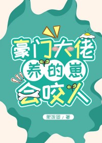 凤起之嫡女