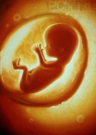 凶恶雌奴狠狠宠