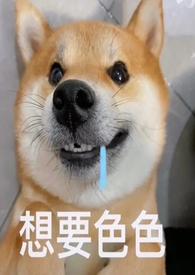 喂养邪神女友