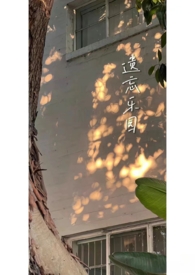 她说不可以