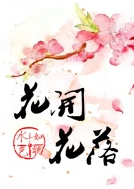天龙八部之风流林枫
