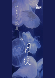 红楼：我真没想造反啊