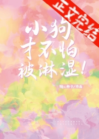 [综英美] 我在哥谭当管家