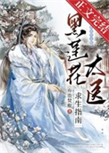 二次元黄毛系统