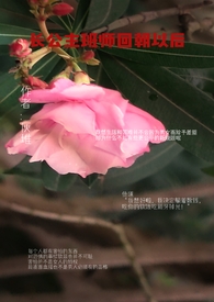 [综武侠] 人在江湖也要读大四