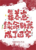 重生抗战之豫西北传奇