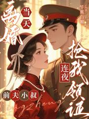我家娘子打江山