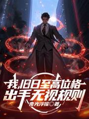将军！刺客不是我