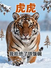傻子医仙