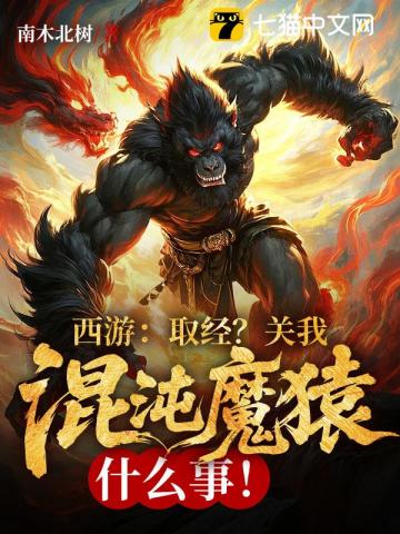 神印盗天