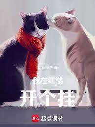 垃圾桶里的灰姑娘