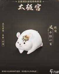 协议闪婚翻车日常
