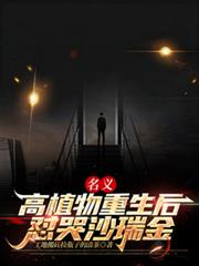 柯南之机械师