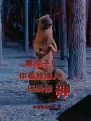 借腹生子？二嫁宠妃偏要步步高升