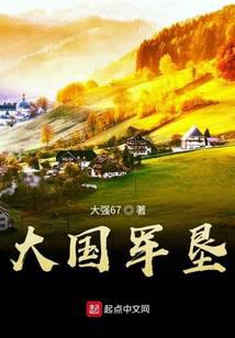 枪火武林