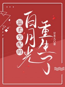 佳妻速成记