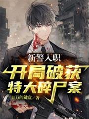你与璀璨比肩