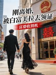 穿进魔法世界，但学高数
