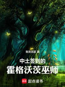 武术直播间