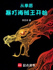 上将，我的