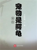 你是冬季温暖