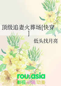 [综漫] 本丸围着猫猫转