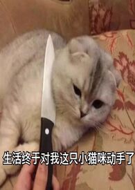 重生后被偏执女主缠上了