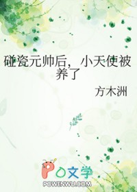 废土避难所升级日志