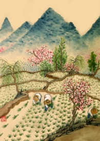 夫郎总想当佞臣