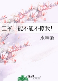 主角为我怒做温柔人夫