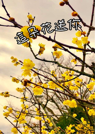 [星铁同人] 星穹铁道：穿成仙舟上的许愿树